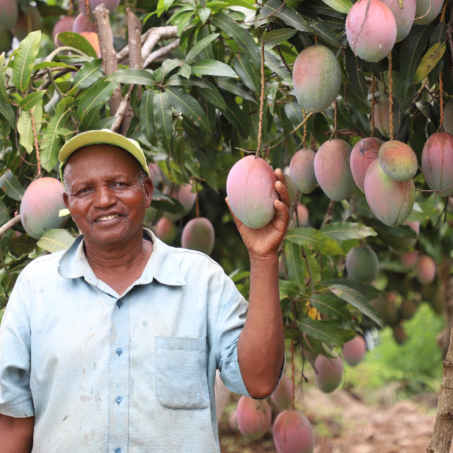 Getrocknete Mangos (große Stücke)